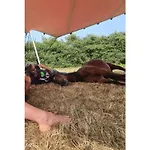 לינה וארוחת בוקר Althuizenhof Doenrade