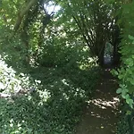 לינה וארוחת בוקר Althuizenhof