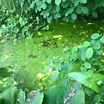 לינה וארוחת בוקר Althuizenhof Doenrade