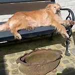 Althuizenhof * Doenrade