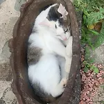 Althuizenhof * Doenrade