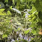 לינה וארוחת בוקר Althuizenhof Doenrade