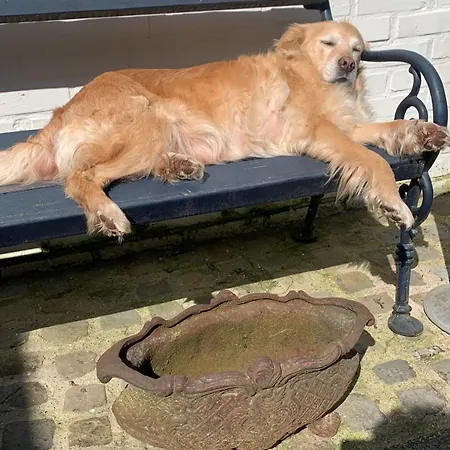 Althuizenhof * 德纳瑞德