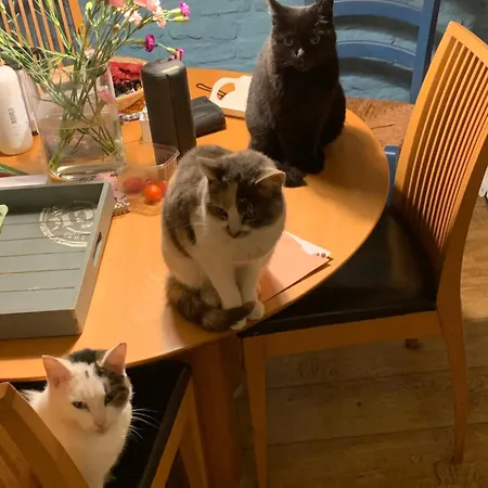 住宿加早餐酒店 Althuizenhof