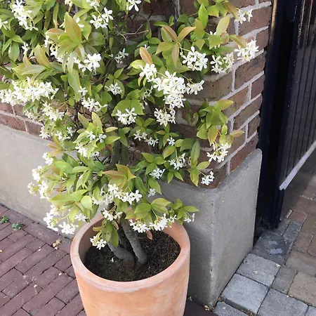 Althuizenhof 3*
