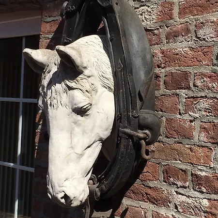 Althuizenhof 住宿加早餐酒店