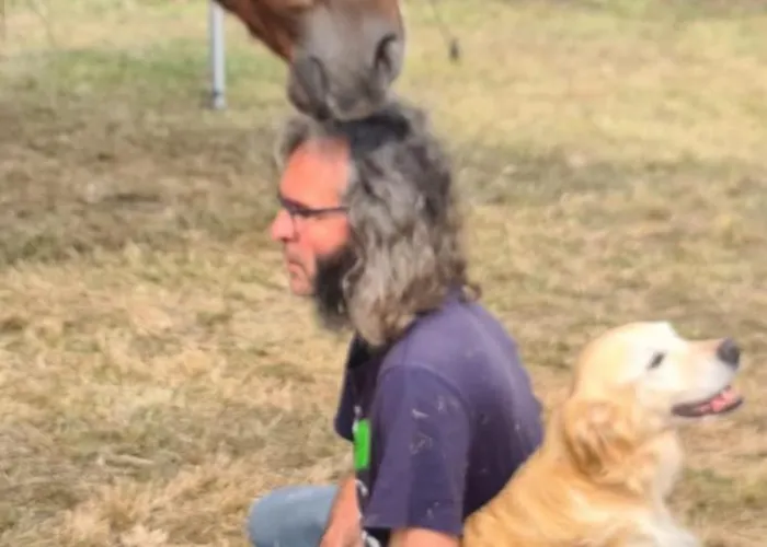 Althuizenhof Bed & Breakfast