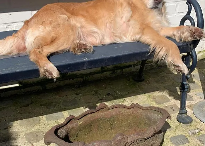 Althuizenhof * Doenrade