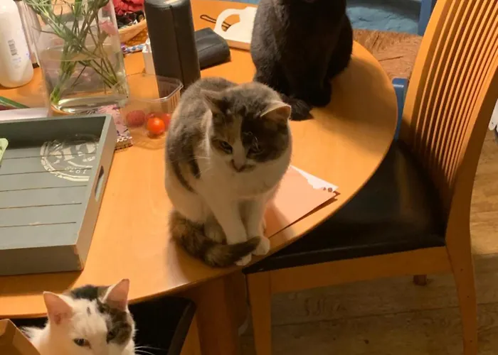 Bed & Breakfast Althuizenhof