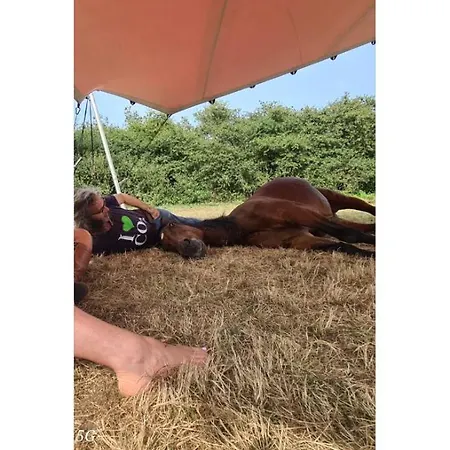 Bed & Breakfast Althuizenhof Doenrade