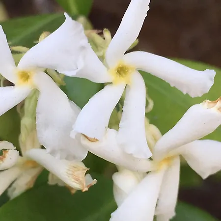 Althuizenhof Bed & Breakfast