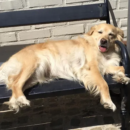 Althuizenhof Doenrade