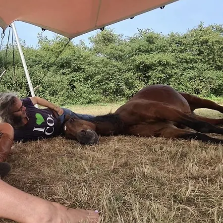 Althuizenhof Bed & Breakfast *