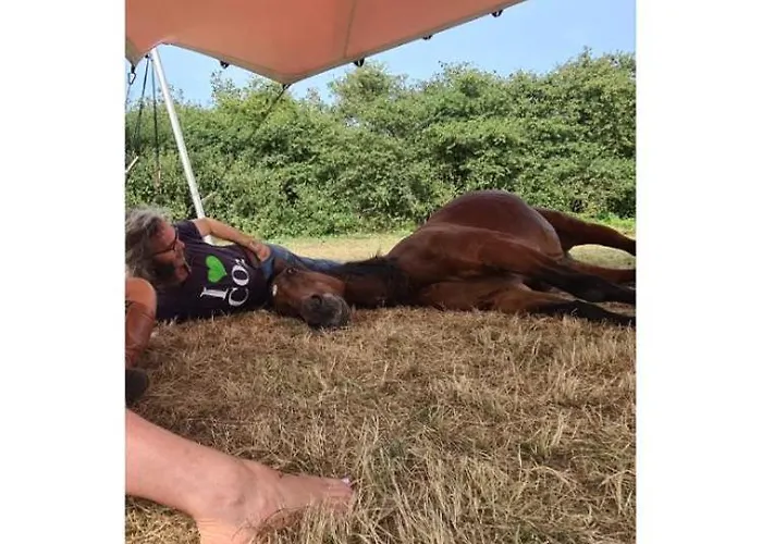 לינה וארוחת בוקר Althuizenhof Doenrade