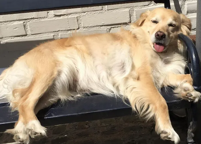 Althuizenhof Doenrade