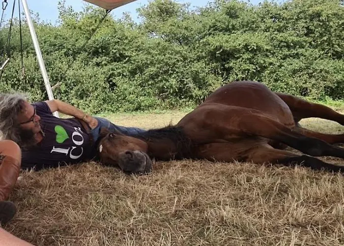 Althuizenhof לינה וארוחת בוקר *